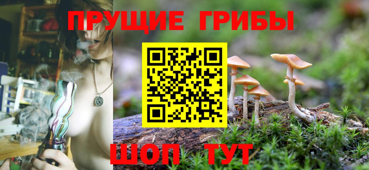 Миасс  Галлюциногенные грибы Cubensis  Вход с VPN 