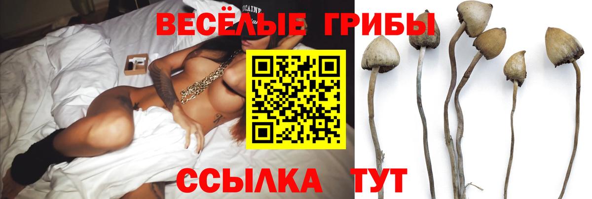 Псилоцибиновые грибы прущие грибы Миасс